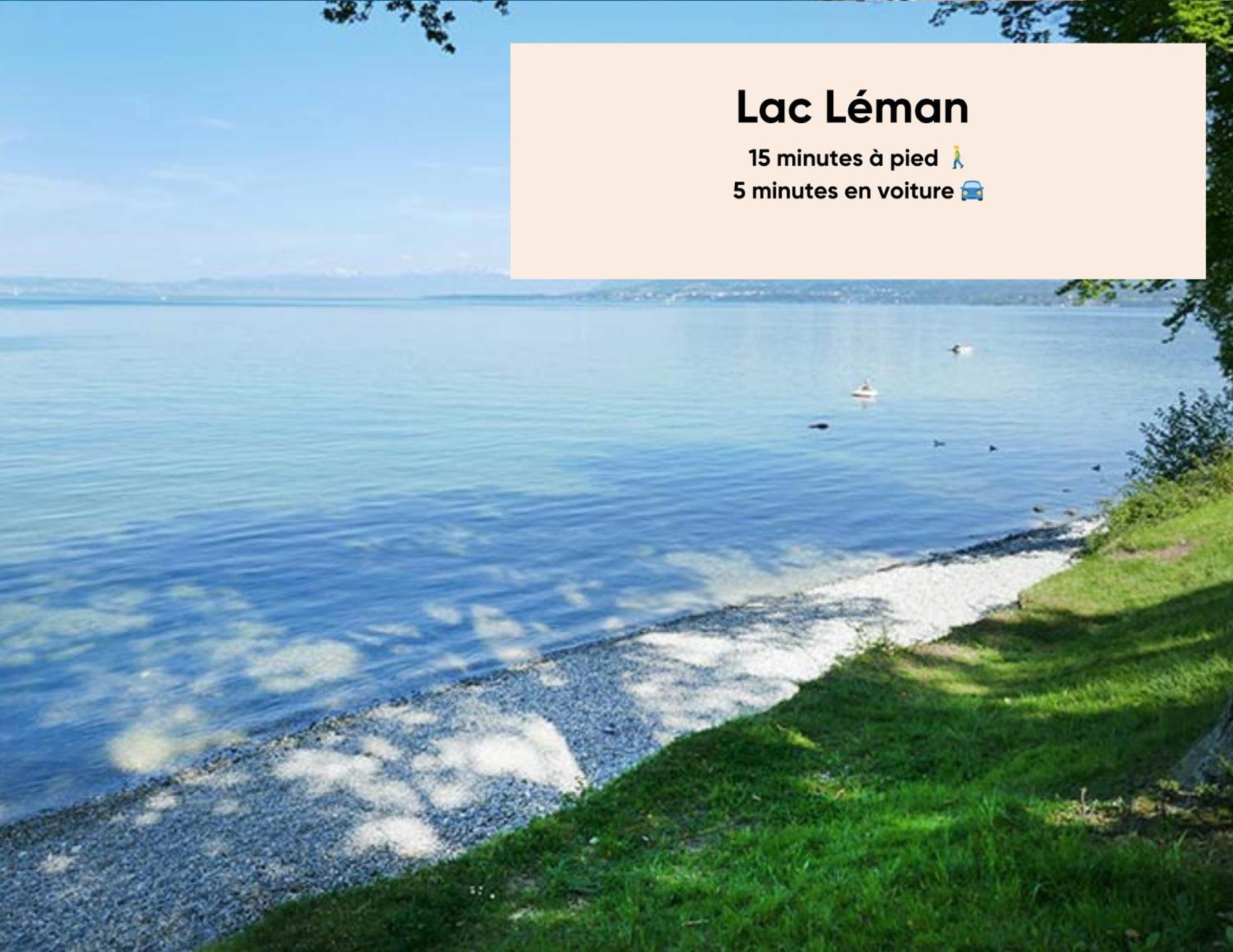 Ferienwohnung Cosy Et Moderne - Dent D'Oche Thonon-les-Bains Exterior foto